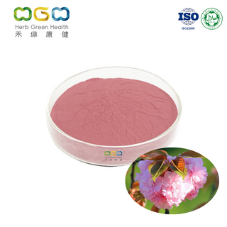 Cosmetic Sakura Extract Powder For Skin Lighting