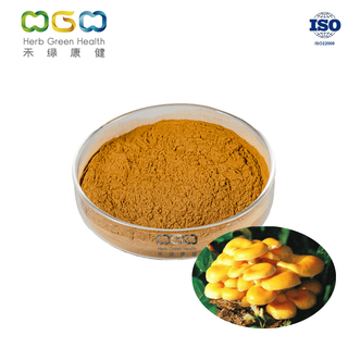 Pleurotus Citrinopileatus Mushroom Extract  Ergothioneine For Skin