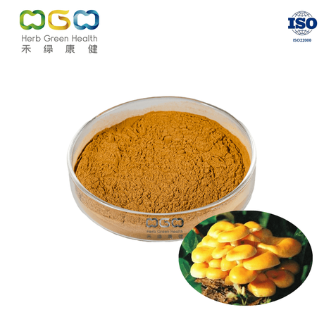 Golden Oyster Mushroom 3.png