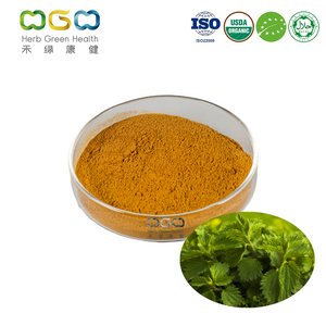 Wholesale Anti-oxidation Organic Nettle Leaf Powder Supplement 