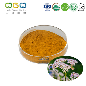 Dry Organic Valerian Herb Extract Powder
