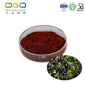 Black Currant Extract Anthocyanins HPLC35% For Anti-aging