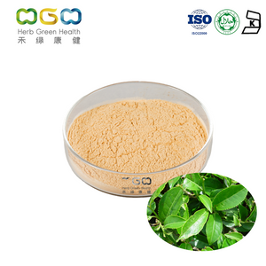 Green Tea Leaf Extract Polyphenols Powder 