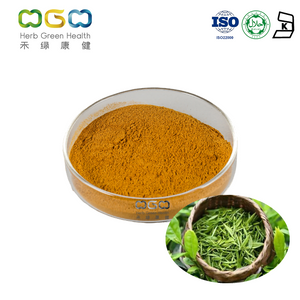 Factory Price Best Instant Green Tea Powder Polyphenol