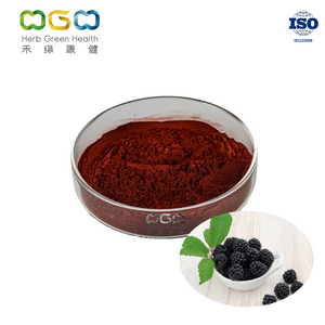 High Quality Anti-Cancer Boysenberry SD Fruit Powder