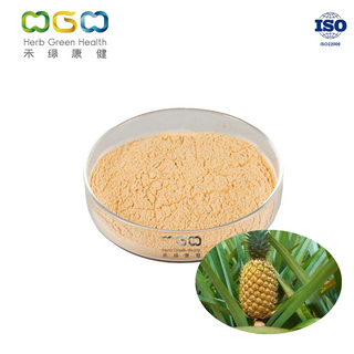 Bulk Spray Dried Pineapple Fruit Powder 